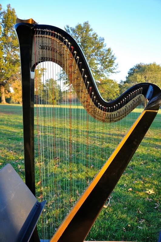 Elegant Harp — Ceremony Music, portfolio photo 18