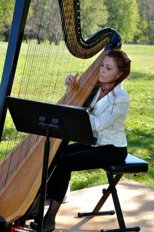 Elegant Harp — Ceremony Music, portfolio photo 19