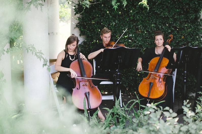 Wescottage Music, gallery photograph 1