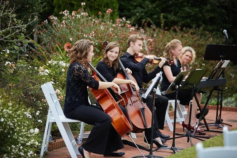 Wescottage Music, gallery photograph 14