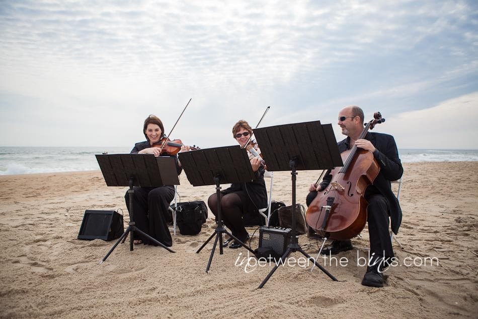 Club Violin, gallery photograph 2