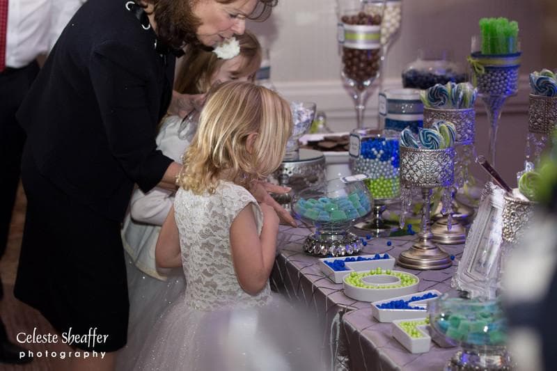 Florida Candy Buffets, gallery photograph 15