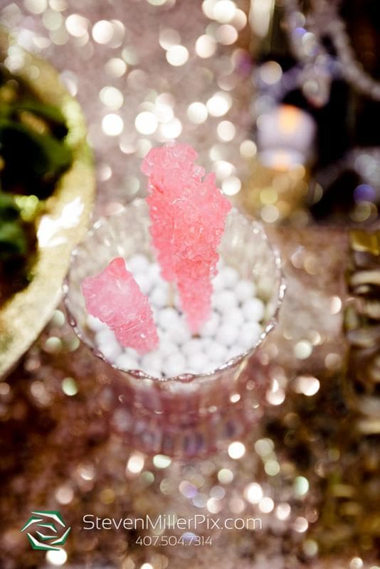 Florida Candy Buffets, gallery photograph 19