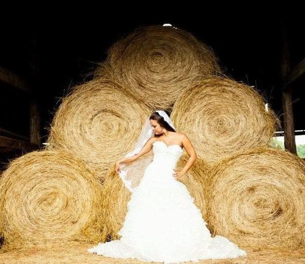 Coastal Knot Bridal Boutique, gallery photograph 6