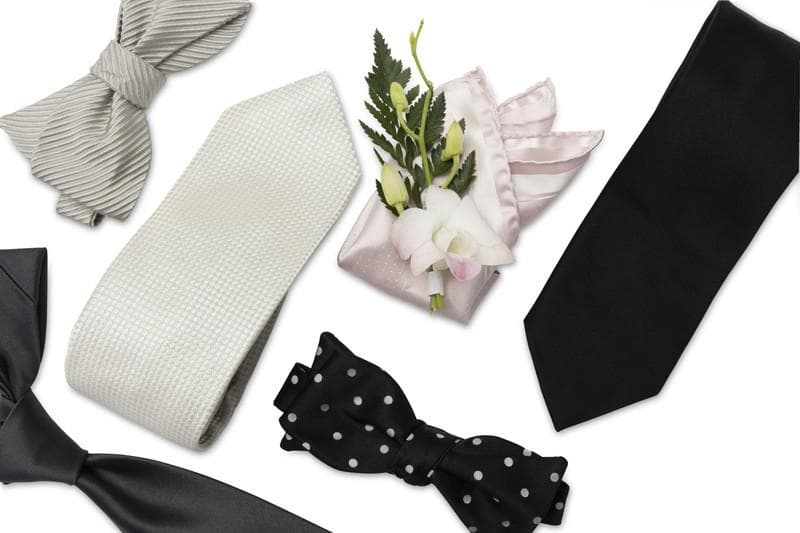 David Fin Ties, gallery photograph 7