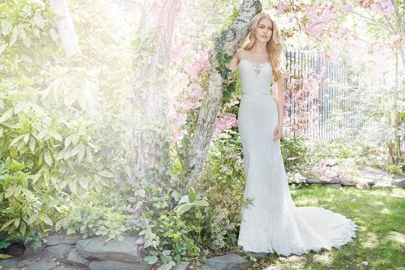 Ania Bridal, gallery photograph 15