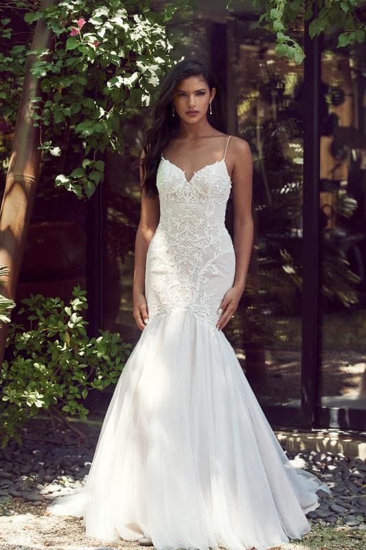 Signature Bridal Salon, gallery photograph 15