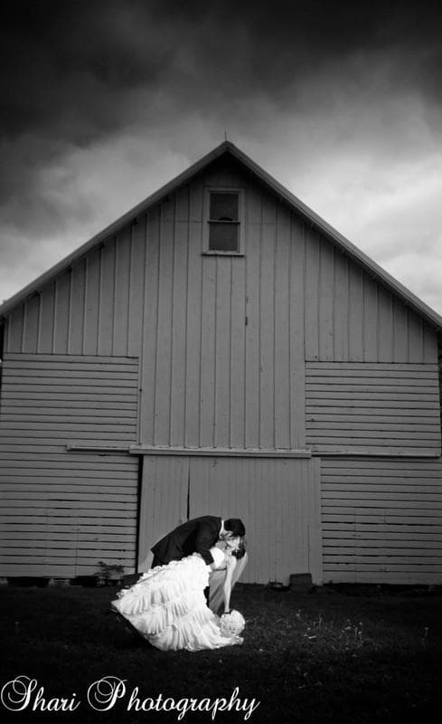 Shari Photography, gallery photograph 11