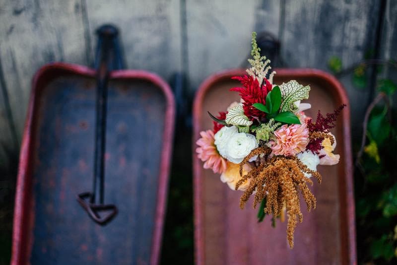 Simone Fox Photography — Photographers, portfolio photo 2