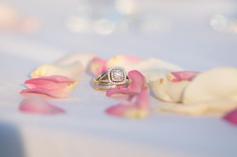 Heather Cahoon Photography — Photographers, portfolio photo 1