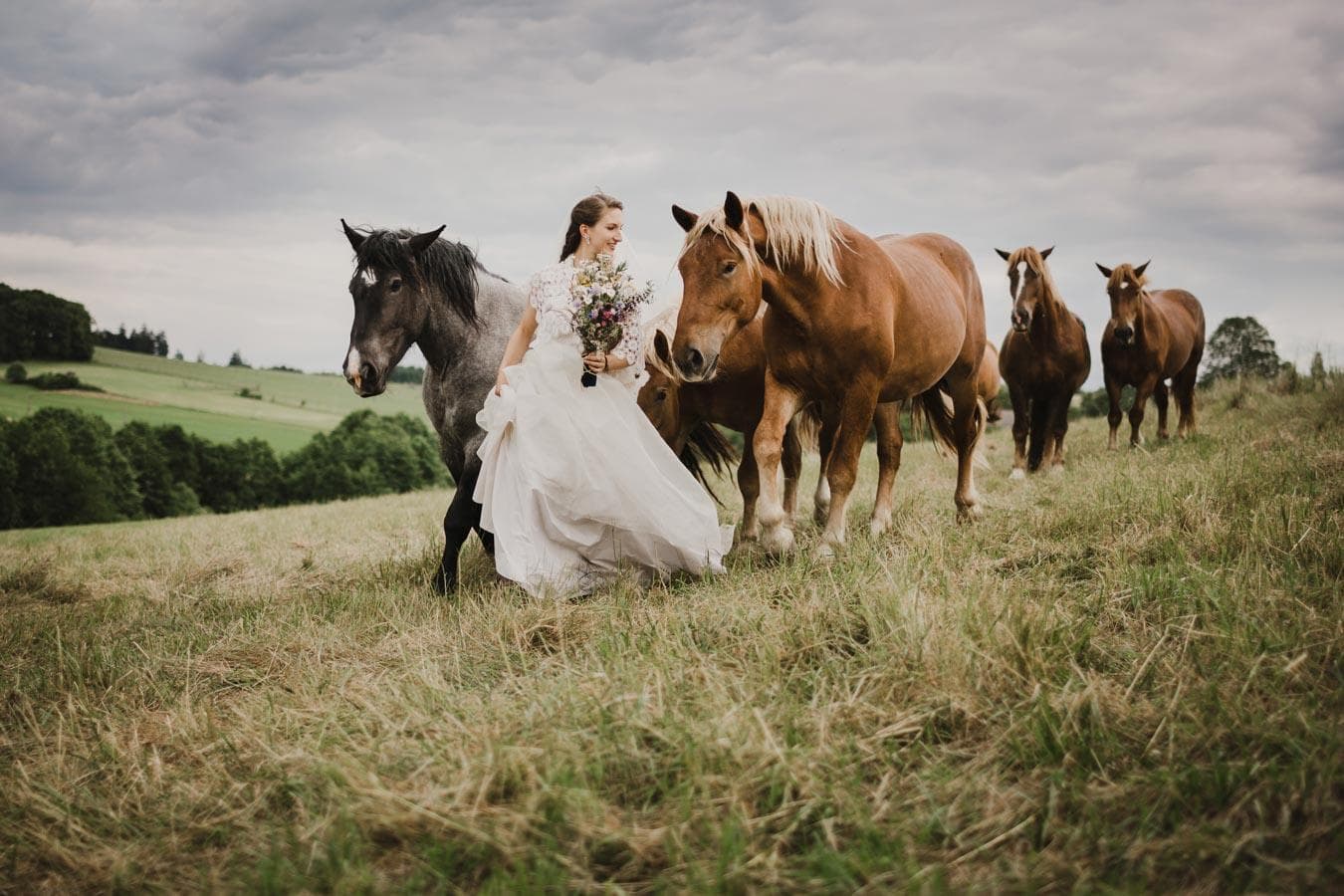 Bella & Bandit photography — Photographers, portfolio photo 4