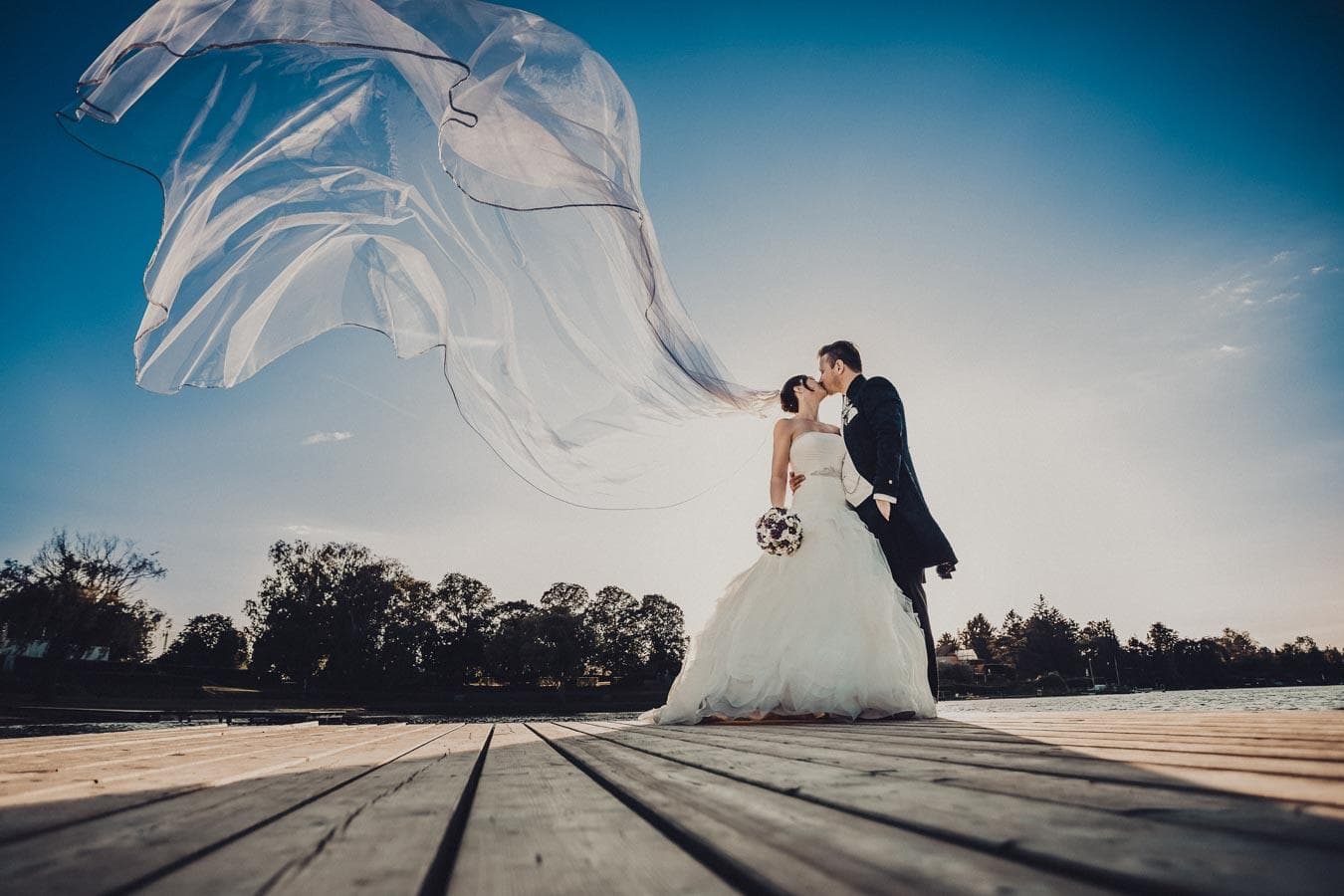 Bella & Bandit photography — Photographers, portfolio photo 6
