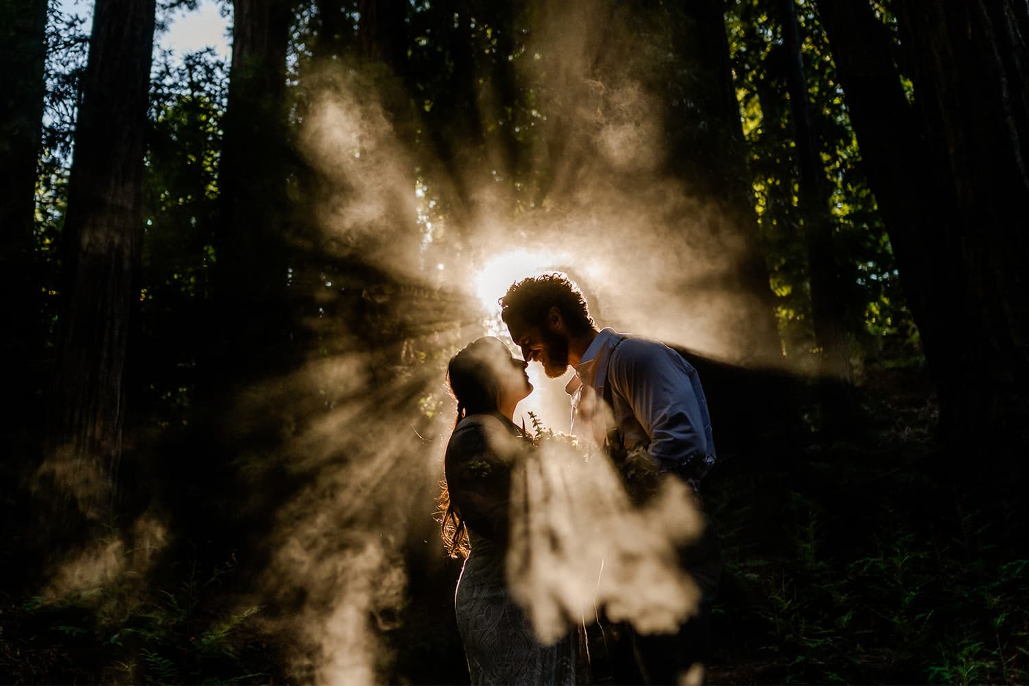 Jason Burns Photography — Photographers, portfolio photo 2