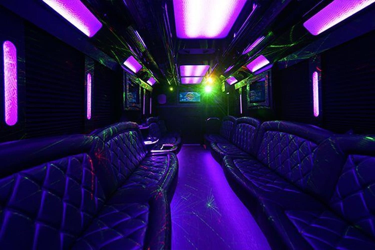 Denver Party Bus — Transportation, portfolio photo 3