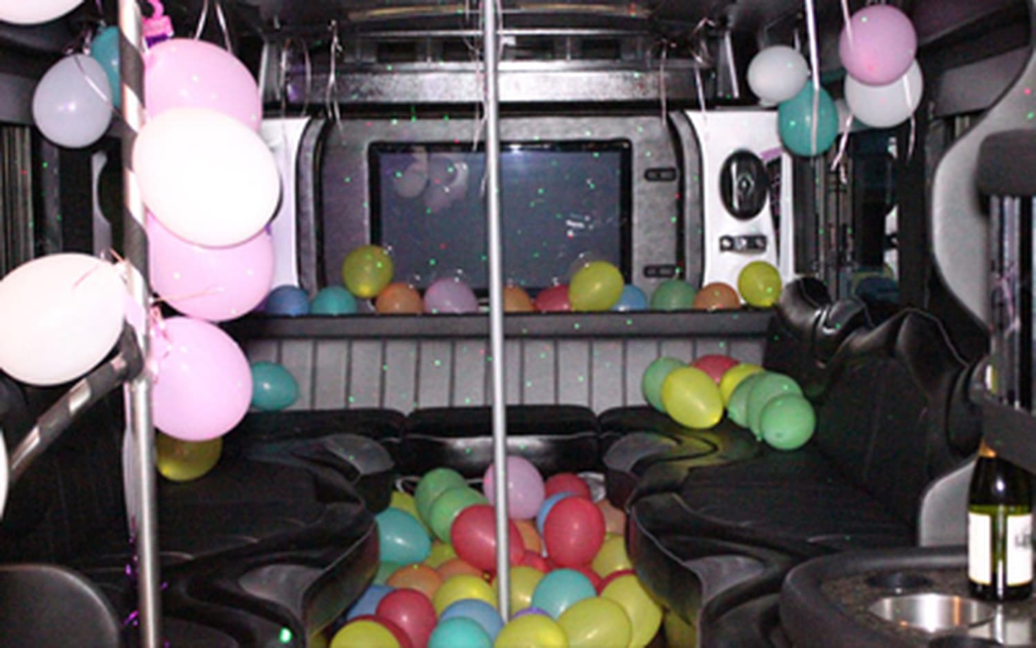 Michigan Limo Bus, gallery photograph 4
