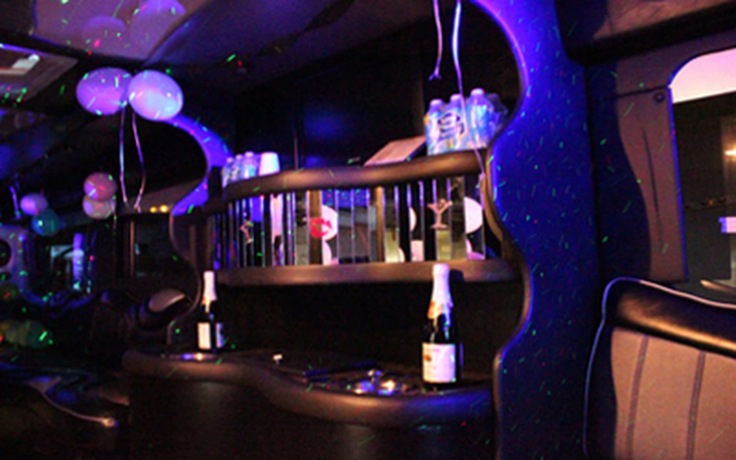 Michigan Limo Bus, gallery photograph 5