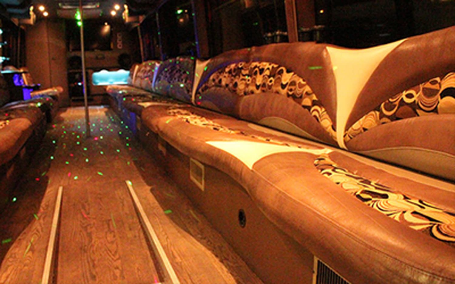 Michigan Limo Bus, gallery photograph 7