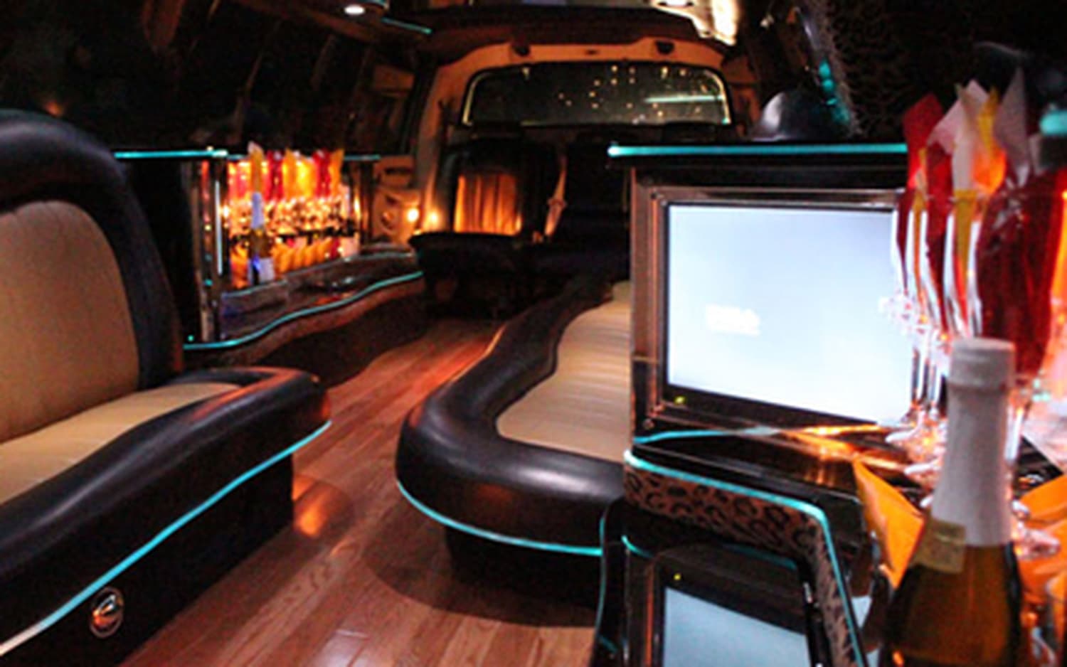 Michigan Limo Bus, gallery photograph 11