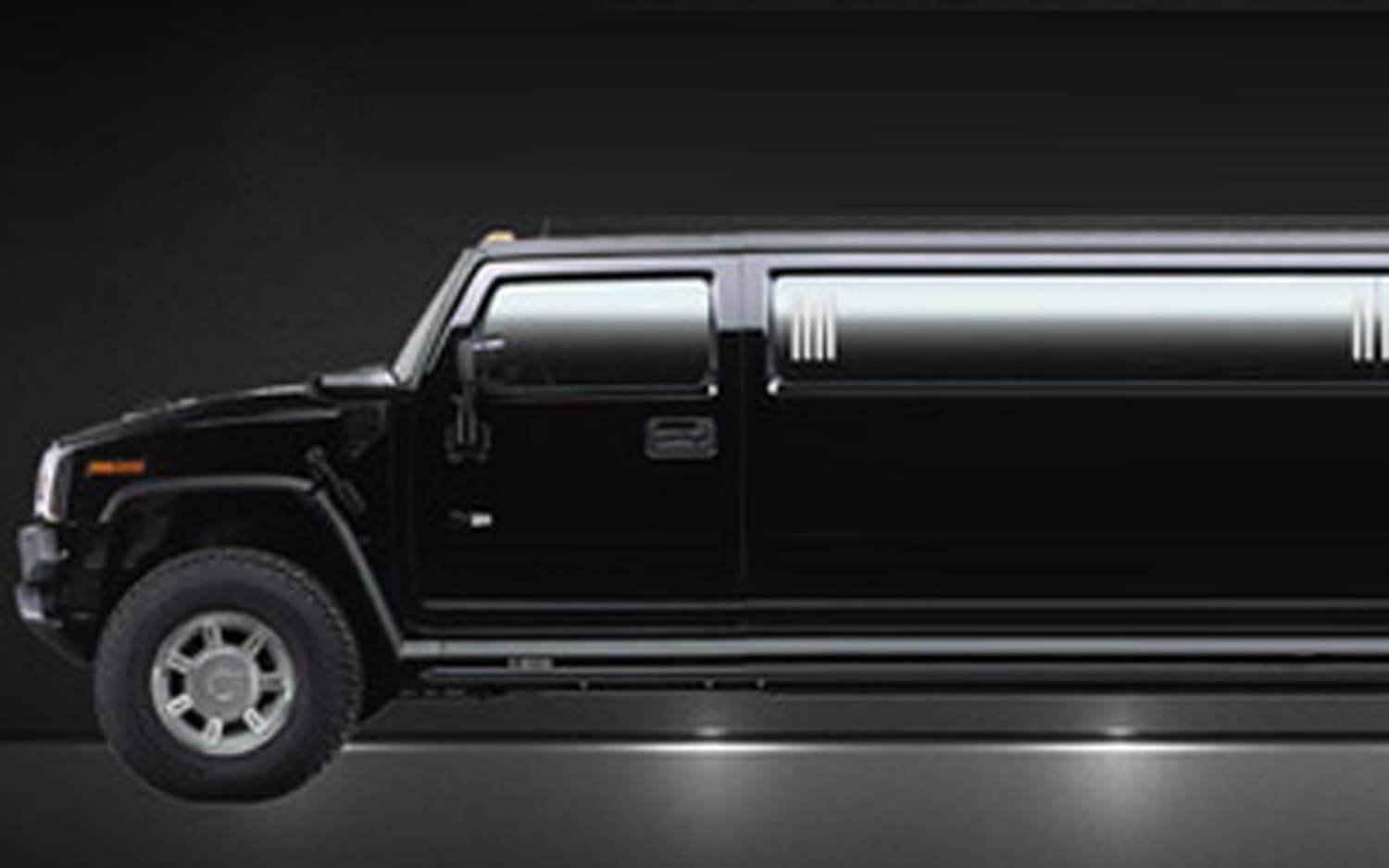 Michigan Limo Bus, gallery photograph 12