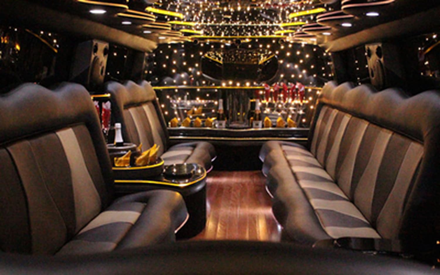 Michigan Limo Bus, gallery photograph 13