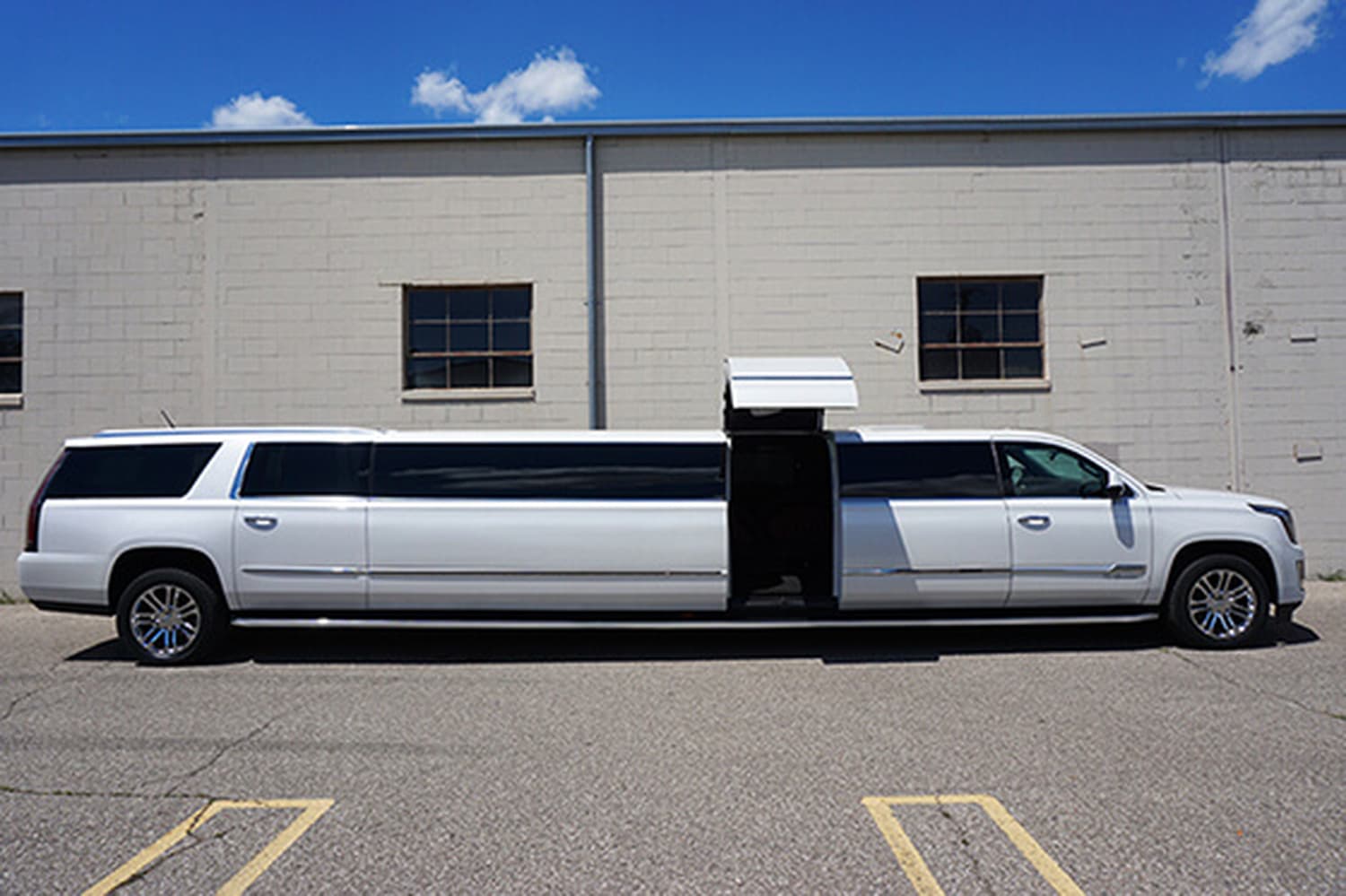 Party Bus Spokane — Transportation, portfolio photo 3