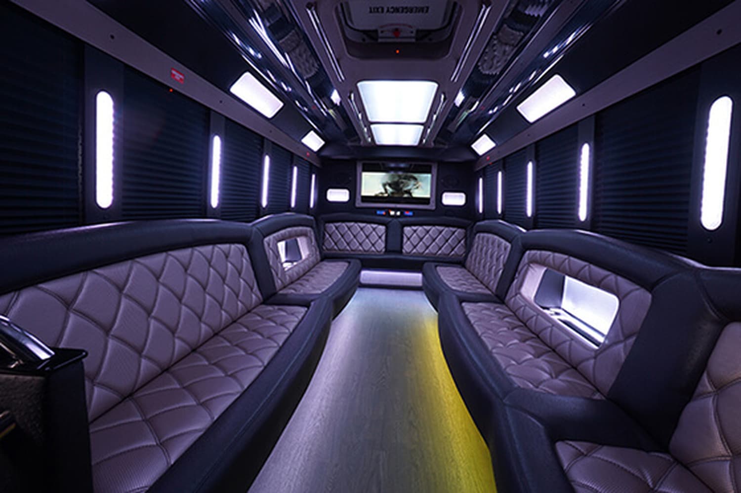 Party Bus Spokane — Transportation, portfolio photo 6