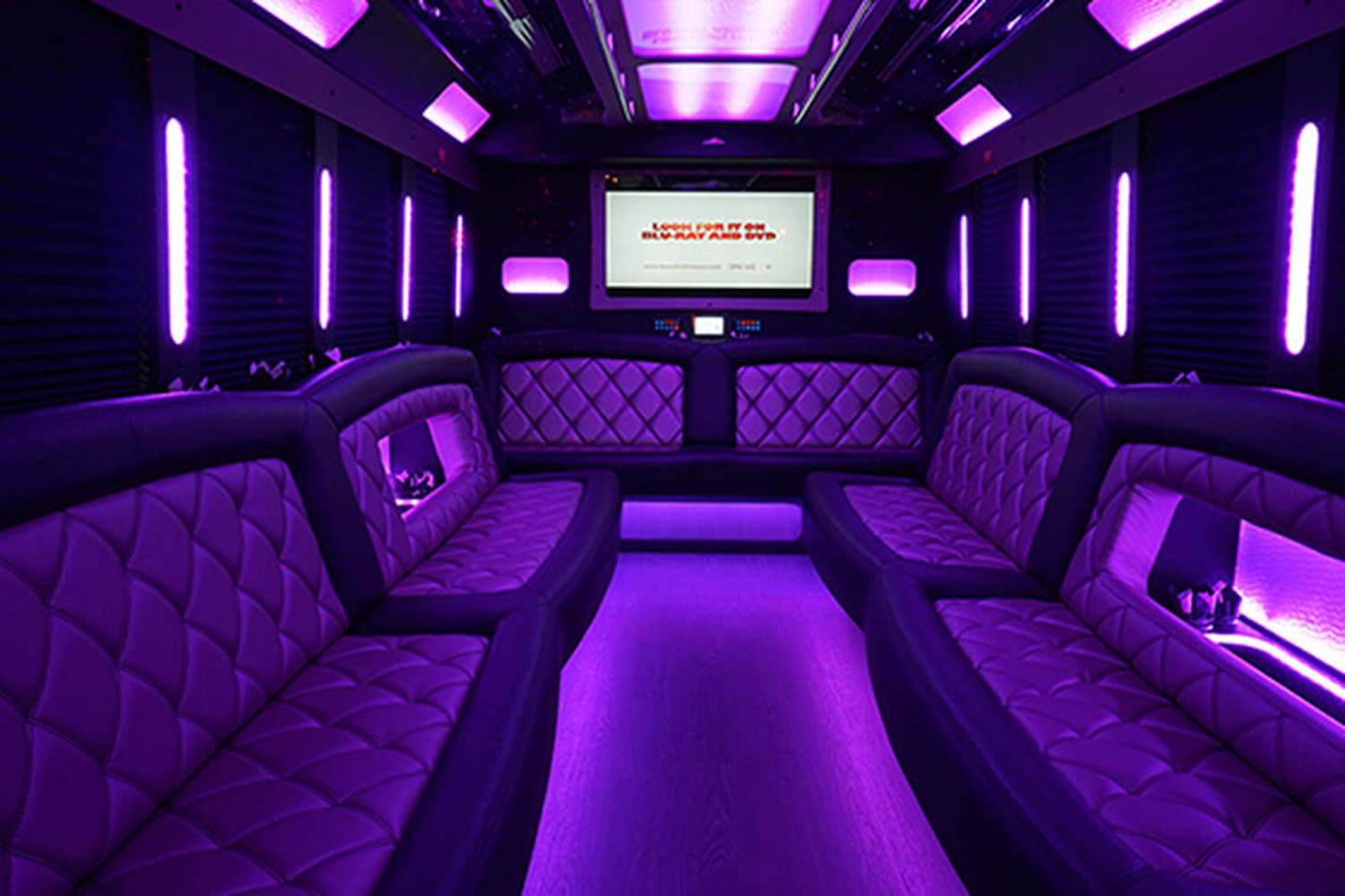 Party Bus Spokane — Transportation, portfolio photo 8