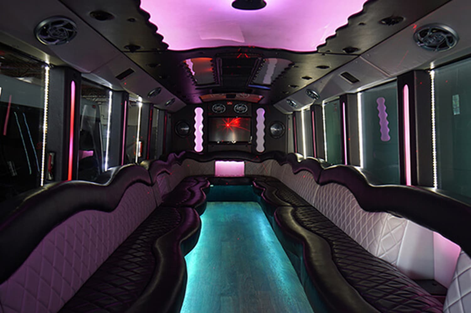 Party Bus Spokane — Transportation, portfolio photo 12