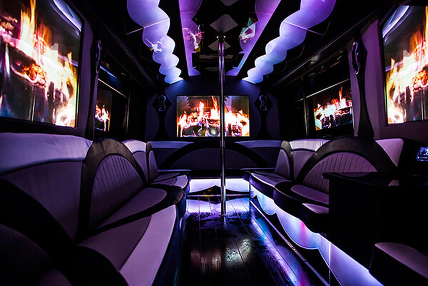Cedar Rapids Party Buses, gallery photograph 6