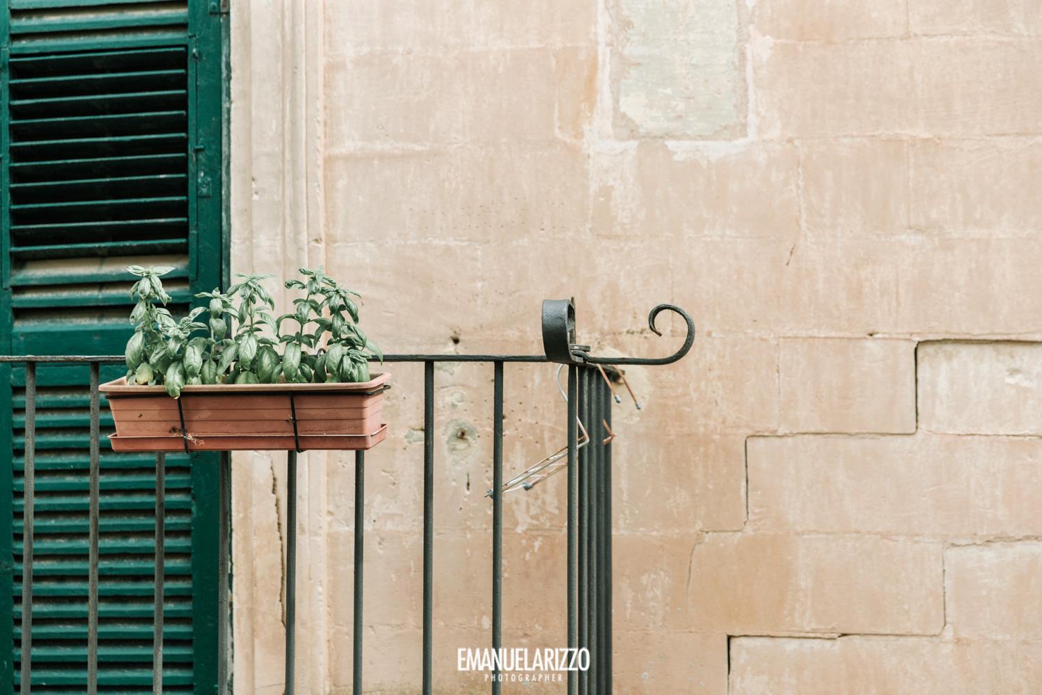 Emanuela Rizzo, gallery photograph 25