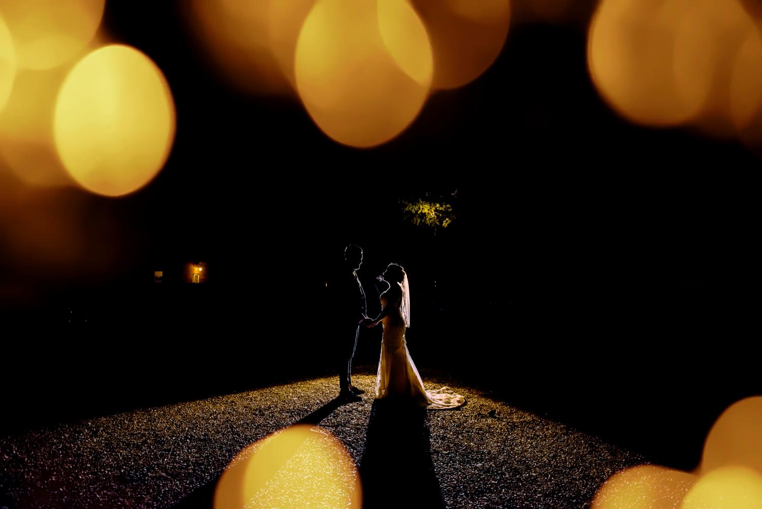 IRINA PERVUSHINA, gallery photograph 4