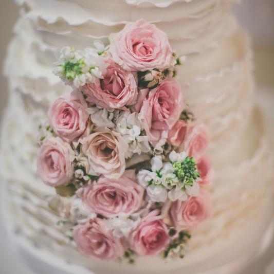 Cake Fanatics in Maui