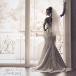 Allison Jansen Photography Allison Jansen Photography