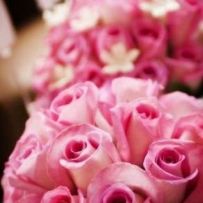 A Thousand Moments Photography A Thousand Moments Photography