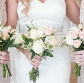 Natalie Weber Hamilton Photography LLC Natalie Weber Hamilton Photography LLC