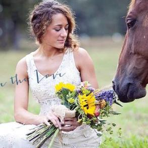 Hitched Film Hitched Film