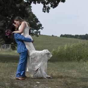 Elephant Memories Elephant Memories