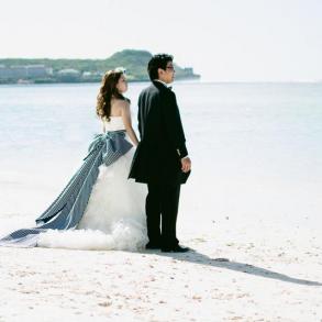 Shay Bass Photography Shay Bass Photography