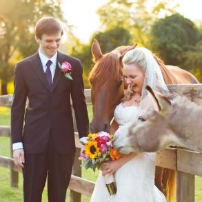 Inspired Life Photography Inspired Life Photography