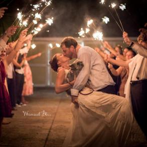 Whimsical Bliss Photography Whimsical Bliss Photography