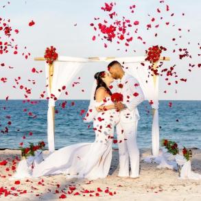 Charles Ingraham Photography Charles Ingraham Photography