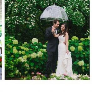 Bella Baxter Special Events Bella Baxter Special Events