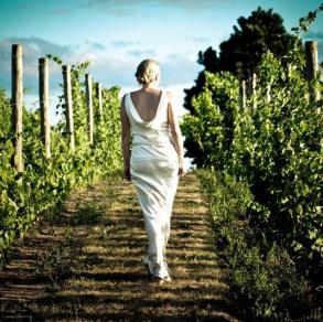 Wine Country Weddings and Events