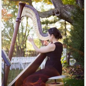 Sarah Javaux, Harpist