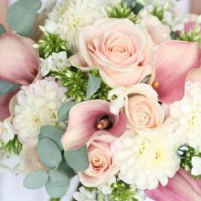 The Bridal Barn & Tux Shop The Bridal Barn & Tux Shop