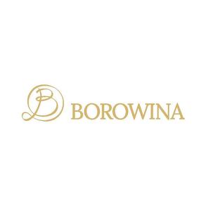 Hotel Borowina